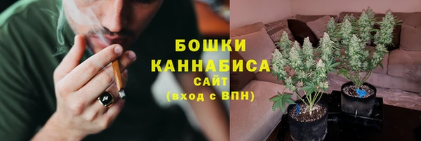 соль ск Горно-Алтайск