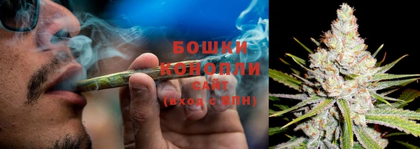 соль ск Горно-Алтайск