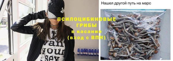 эйфоретик Горняк