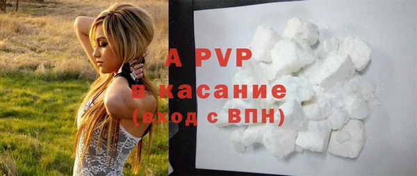 эйфоретик Горняк
